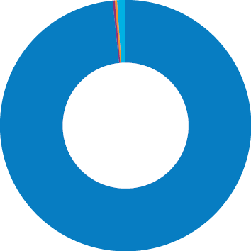 Audit outcomes pie chart